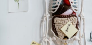 Best Hacks To Improve Gut Health And Decrease Gut Illnesses