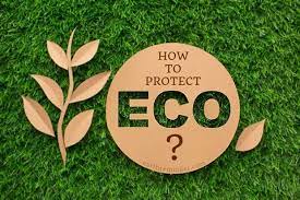How Can We Protect Ecology? How Can We Protect Ecology?