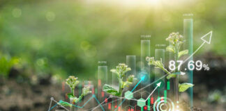 How to Market Your Eco-Friendly Business Effectively How to Market Your Eco-Friendly Business Effectively
