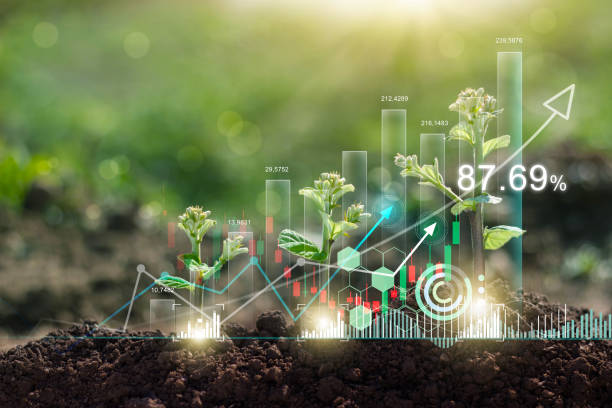 How to Market Your Eco-Friendly Business Effectively How to Market Your Eco-Friendly Business Effectively