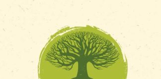 You’ve Heard of Permaculture But What the Heck Is It? You've Heard of Permaculture But What the Heck Is It?