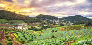 Basic Steps of Organic Farming Basic Steps of Organic Farming