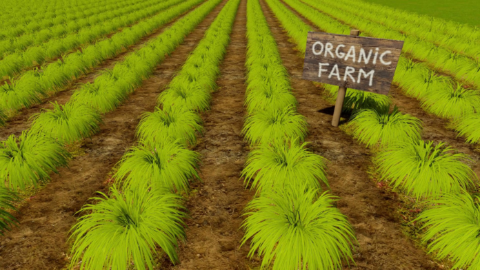 Explanation of Pure organic farming Explanation of Pure organic farming