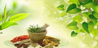 What Is Ayurveda? Explain Completely 2023 What Is Ayurveda?