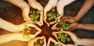 What is Nature Connection? Nature Connection