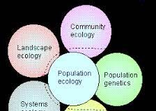 Details of population ecology