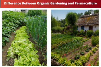 natural cultivating and permaculture natural cultivating and permaculture