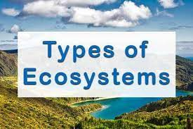 types of the ecosystem types of the ecosystem