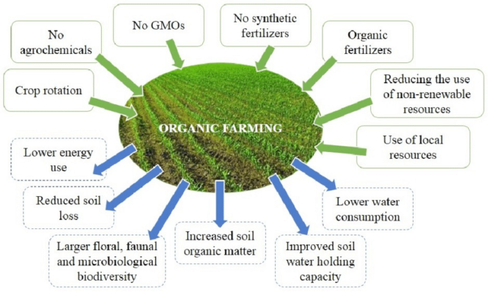 What are the four pillars of organic farming? What are the four pillars of organic farming?