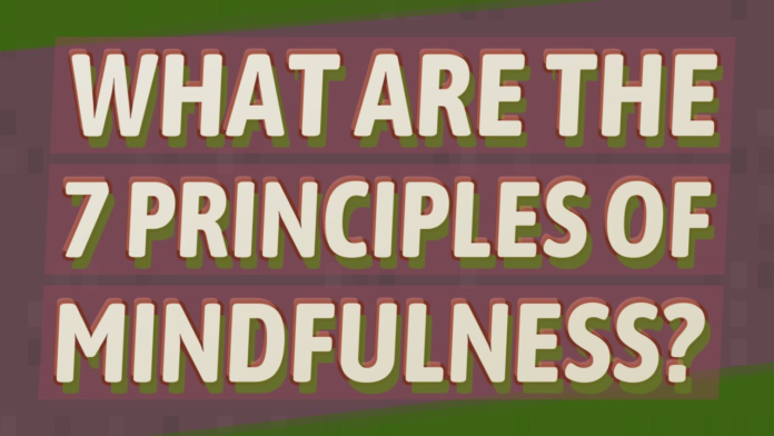 principles of mindfulness principles of mindfulness