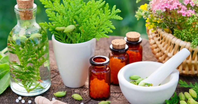 holistic and homeopathic holistic and homeopathic