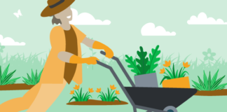 What are permaculture techniques? What are permaculture techniques?