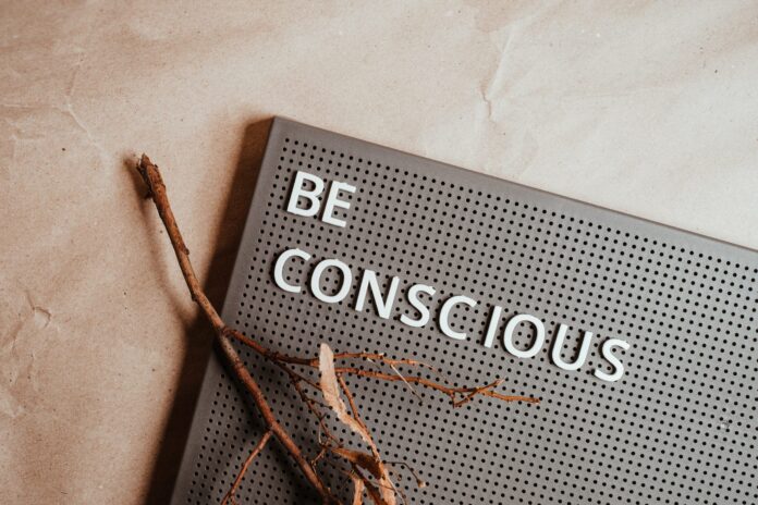 Explanation of conscious lifestyle Explanation of conscious lifestyle